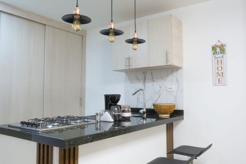 Basic Apartment | Private kitchen | Fridge, microwave, dishwasher, blender