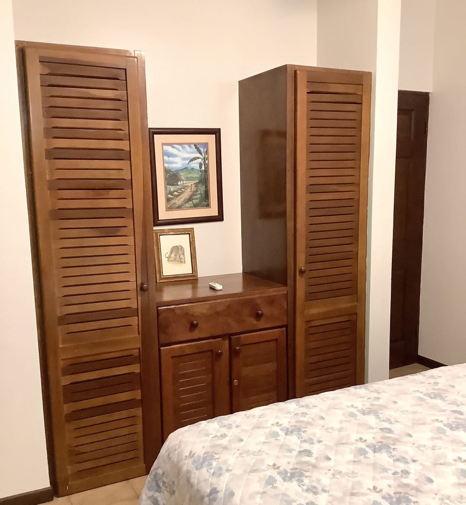 Second bedroom closet