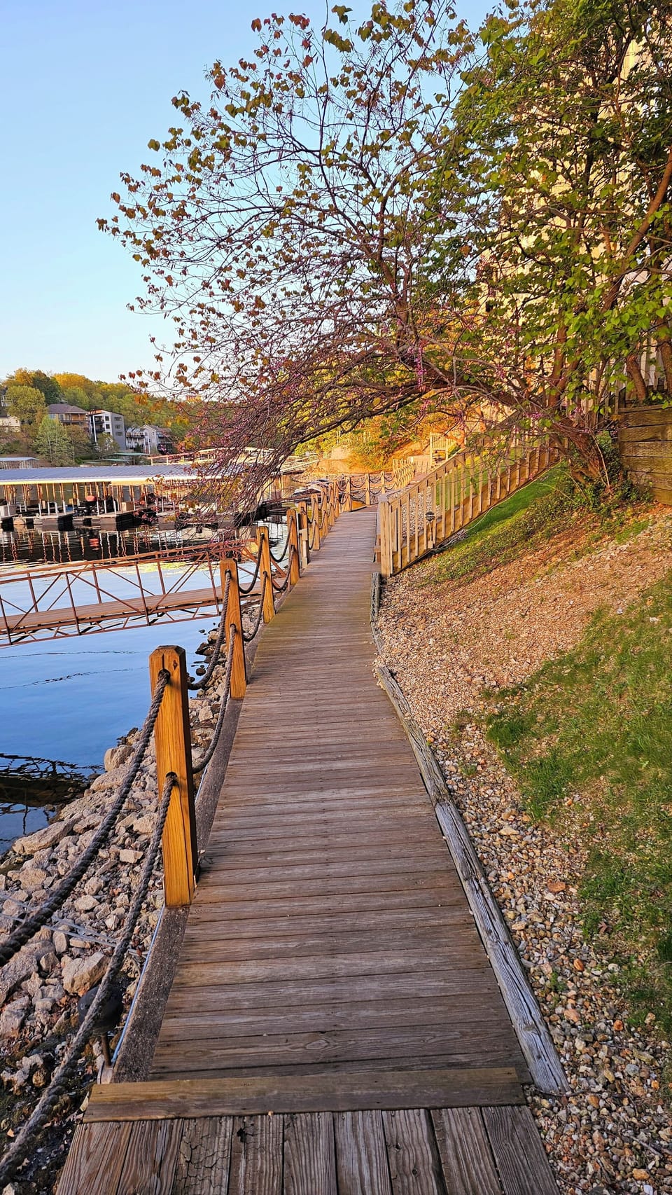 Take a leisurely stroll along the 1/4 mile boardwalk at the water's edge.