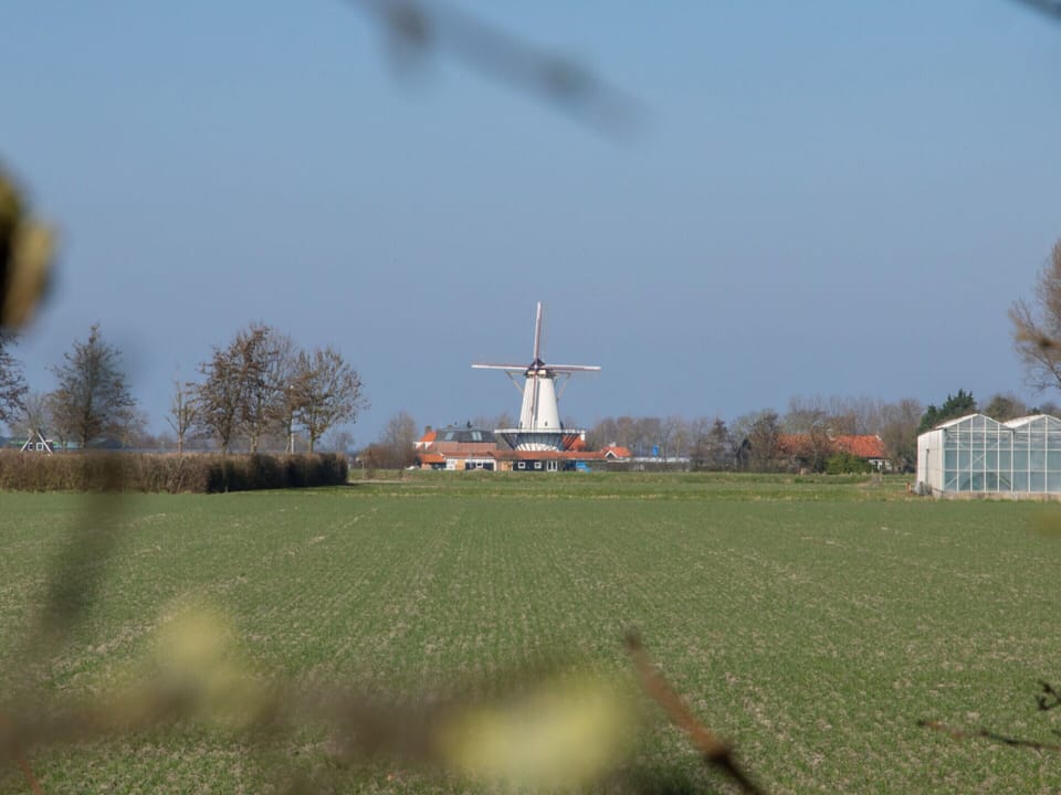 House | View from property