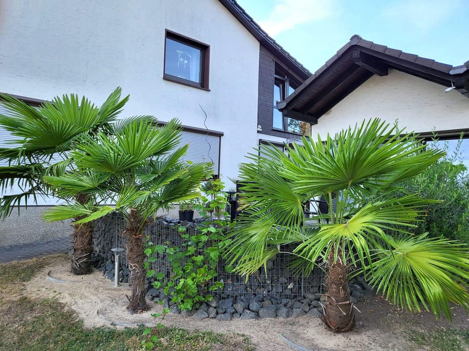 Apartment | Exterior