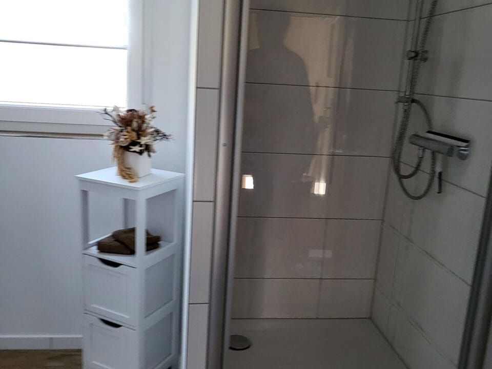 Regal Apartment in Pracht With Garden and Grill Apartment in Rhineland-Palatinate