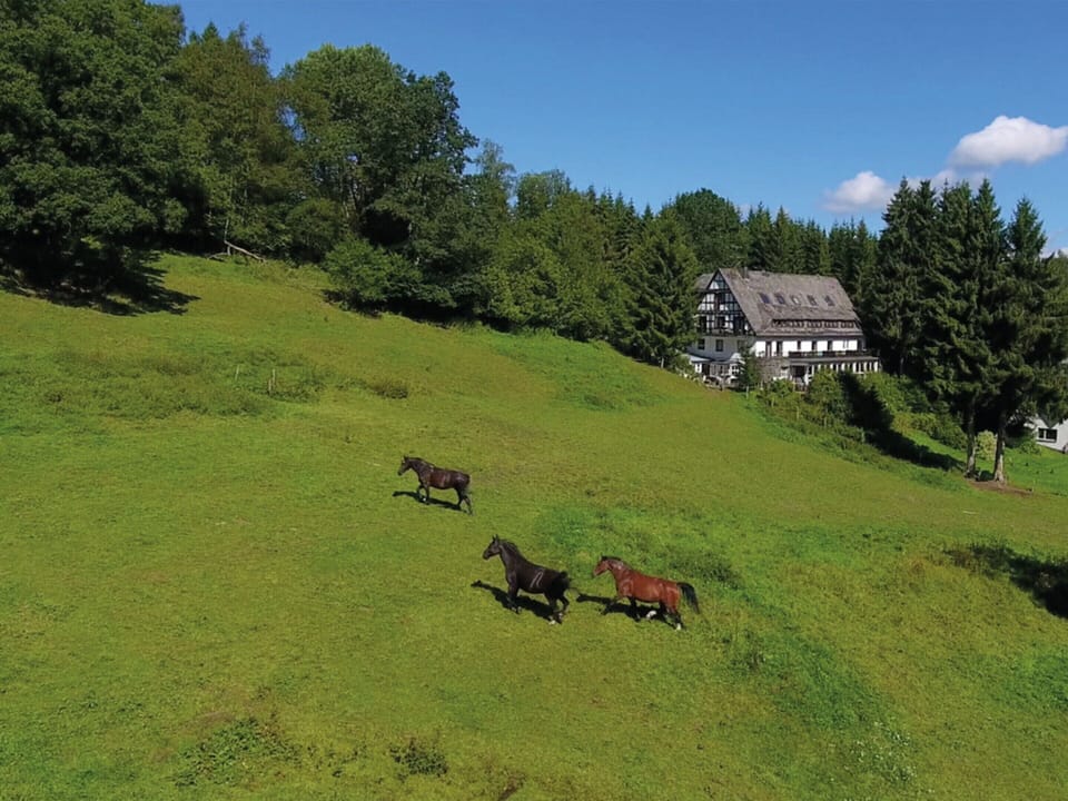 House | View from property
