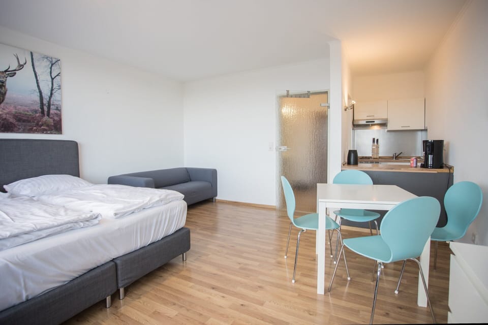 Apartment | 1 bedroom, soundproofing, bed sheets