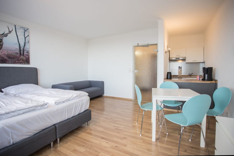 Apartment | 1 bedroom, soundproofing, bed sheets