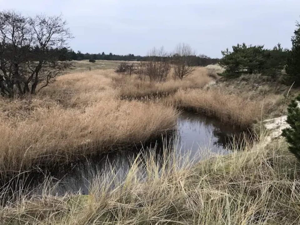 House | Water view