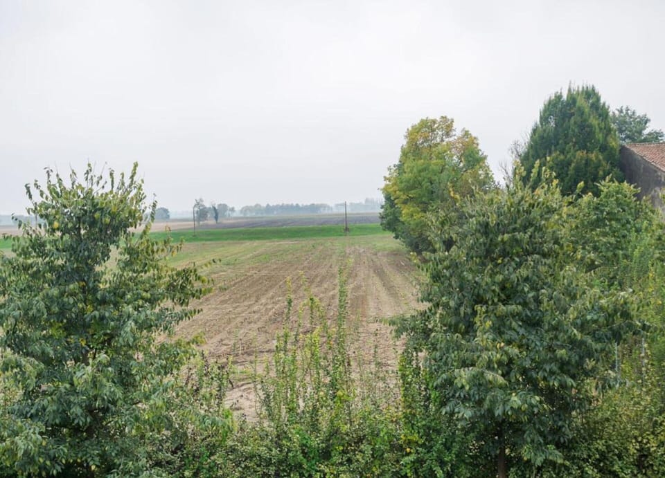 House | View from property