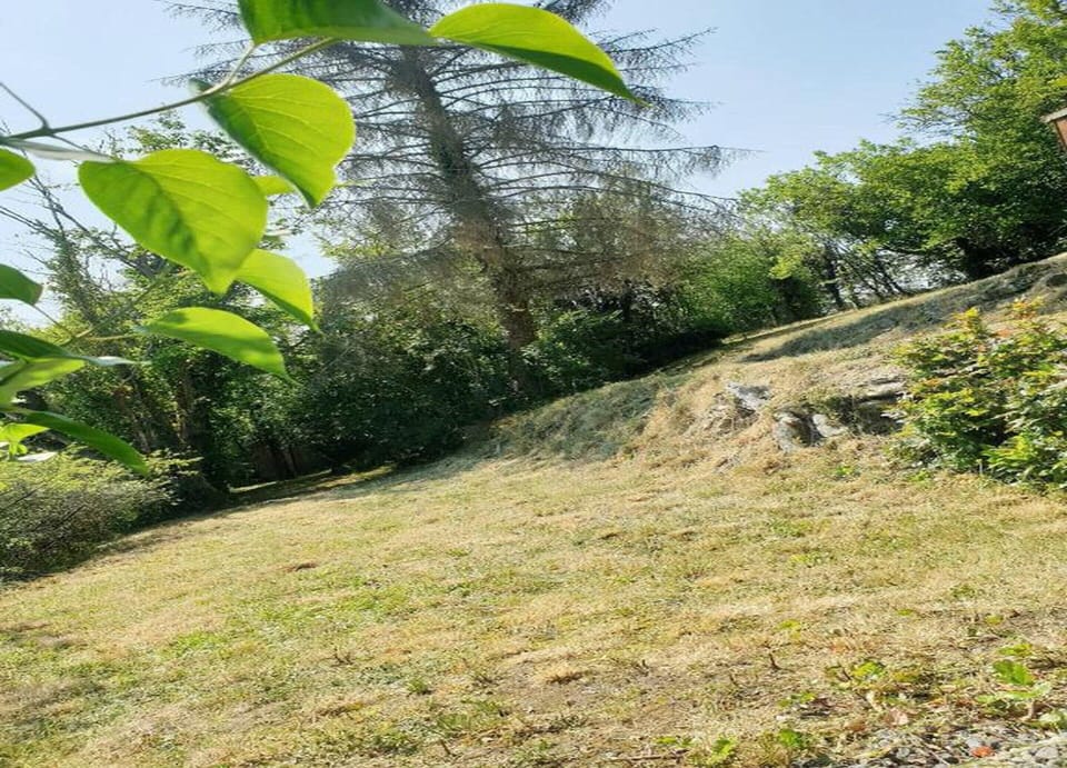 House | View from property