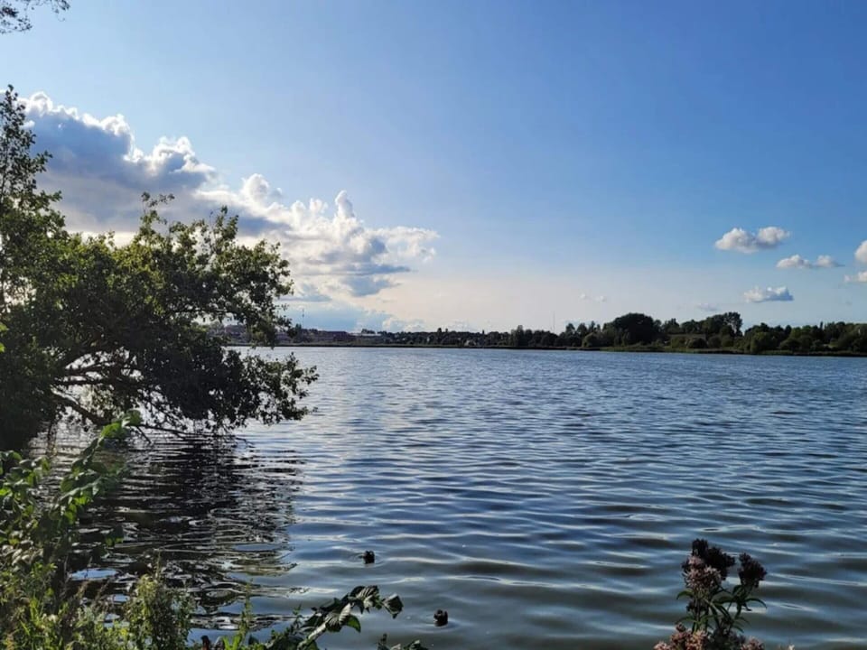 House | Water view