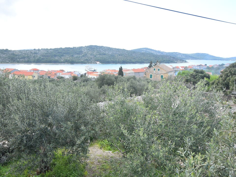 House | View from property