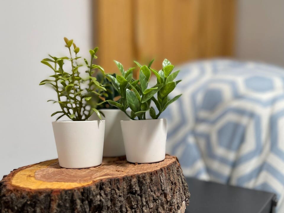 Cottage | Interior detail