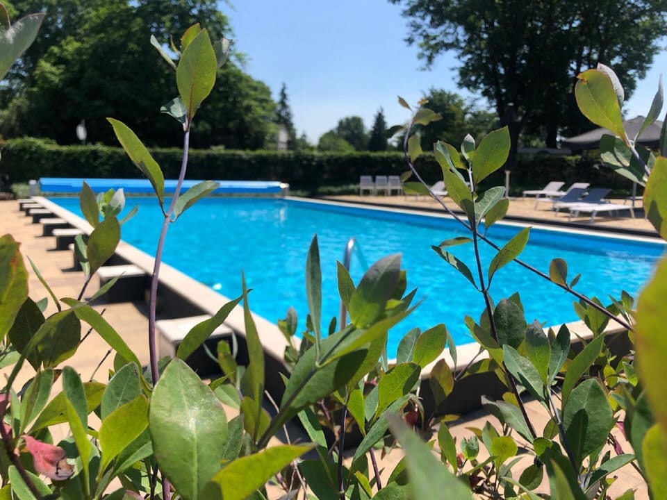 House | Pool | Outdoor pool