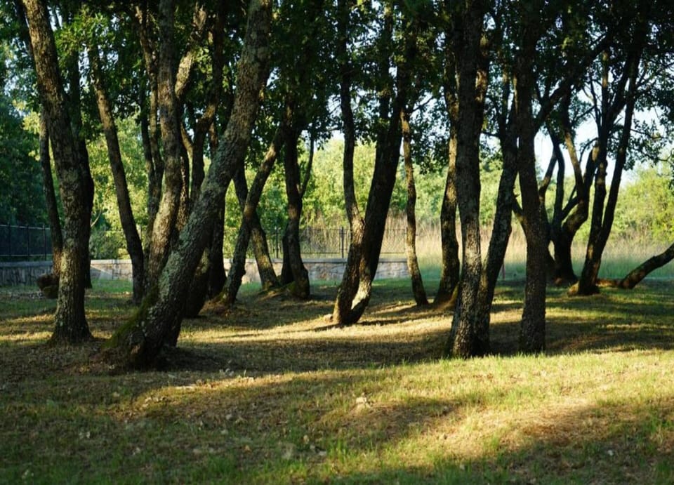 Villa | View from property