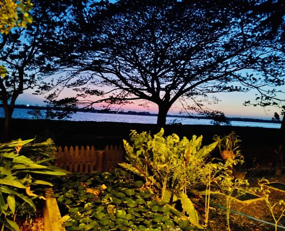 Front of property - evening/night