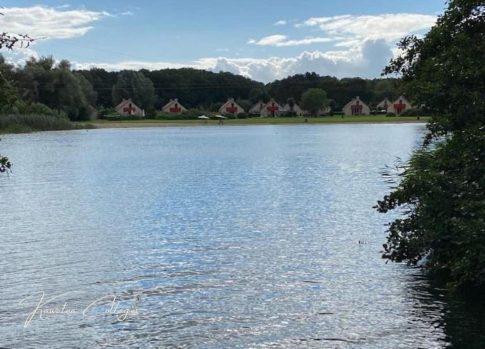 House | View from property