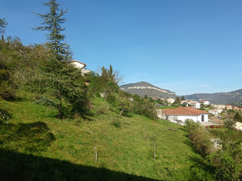 Comfort Triple Room, Hill View | View from room