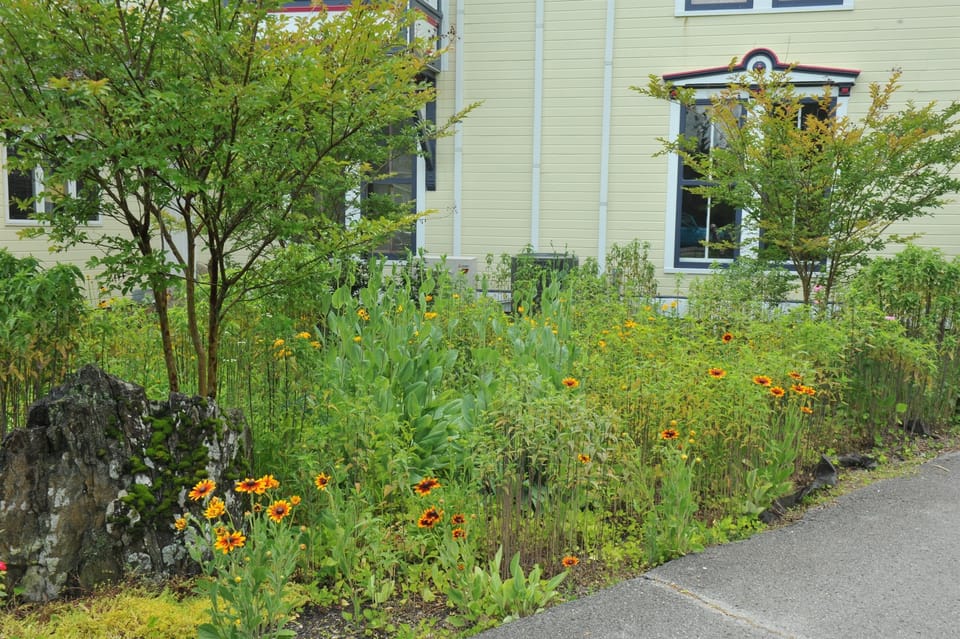 Flower Gardens