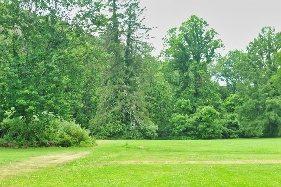 Grounds