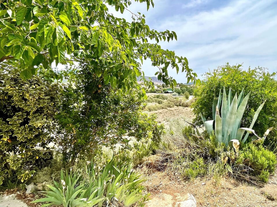 House | Garden