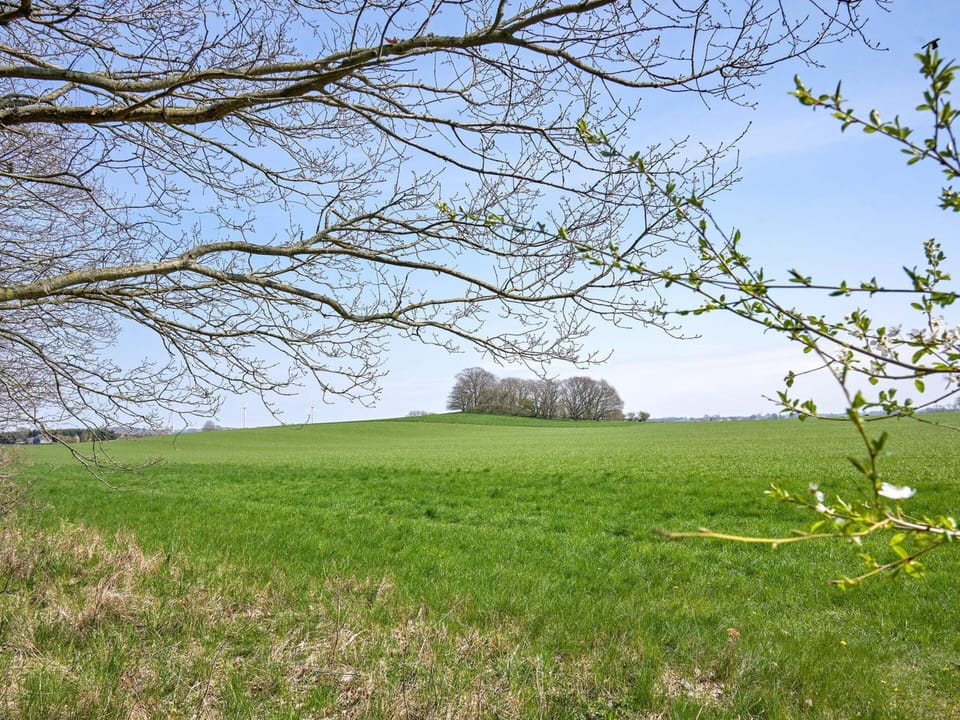 House | View from property