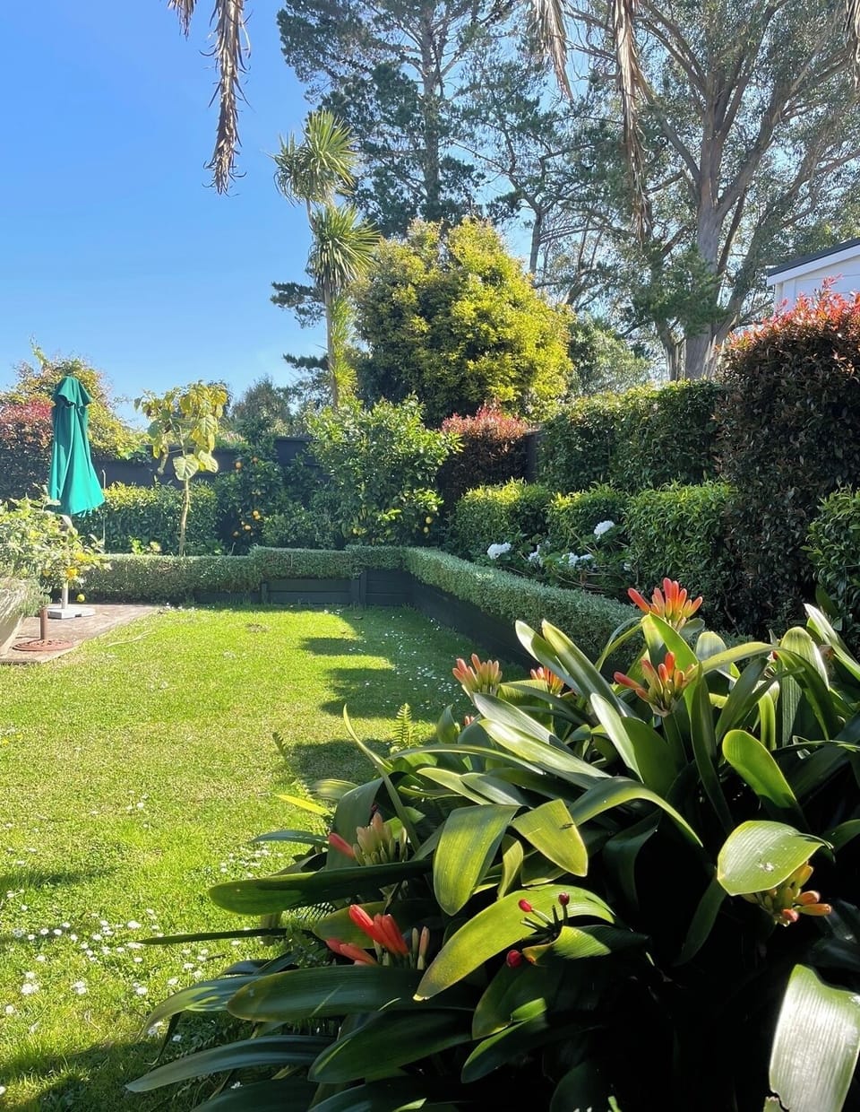 Rear garden