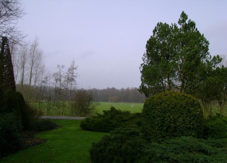 House | View from property