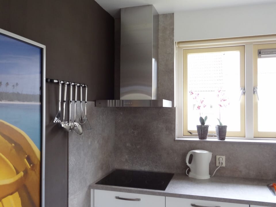 House | Private kitchen