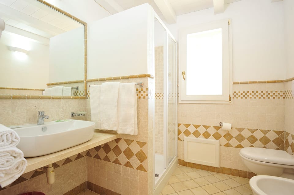Shower, hair dryer, bidet, towels