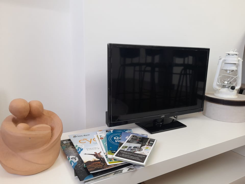 Television