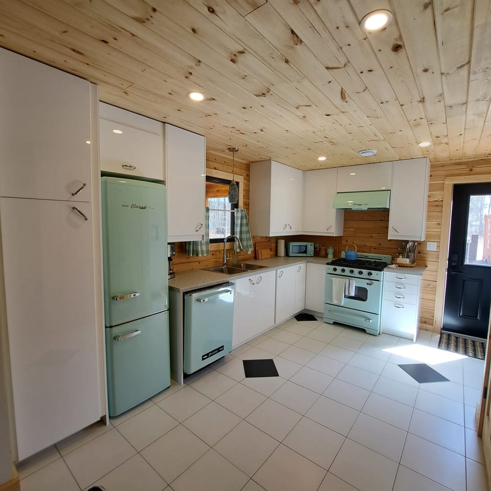 Retro "Mid-Century" Themed Kitchen