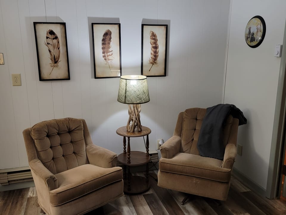 Comfy Swivel Chairs