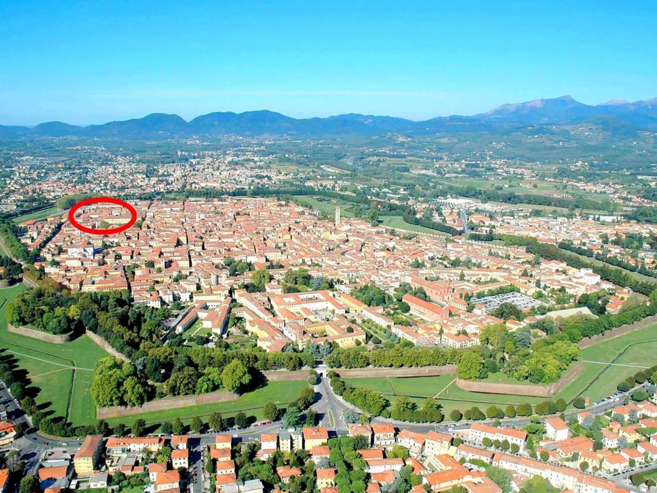 House | Aerial view