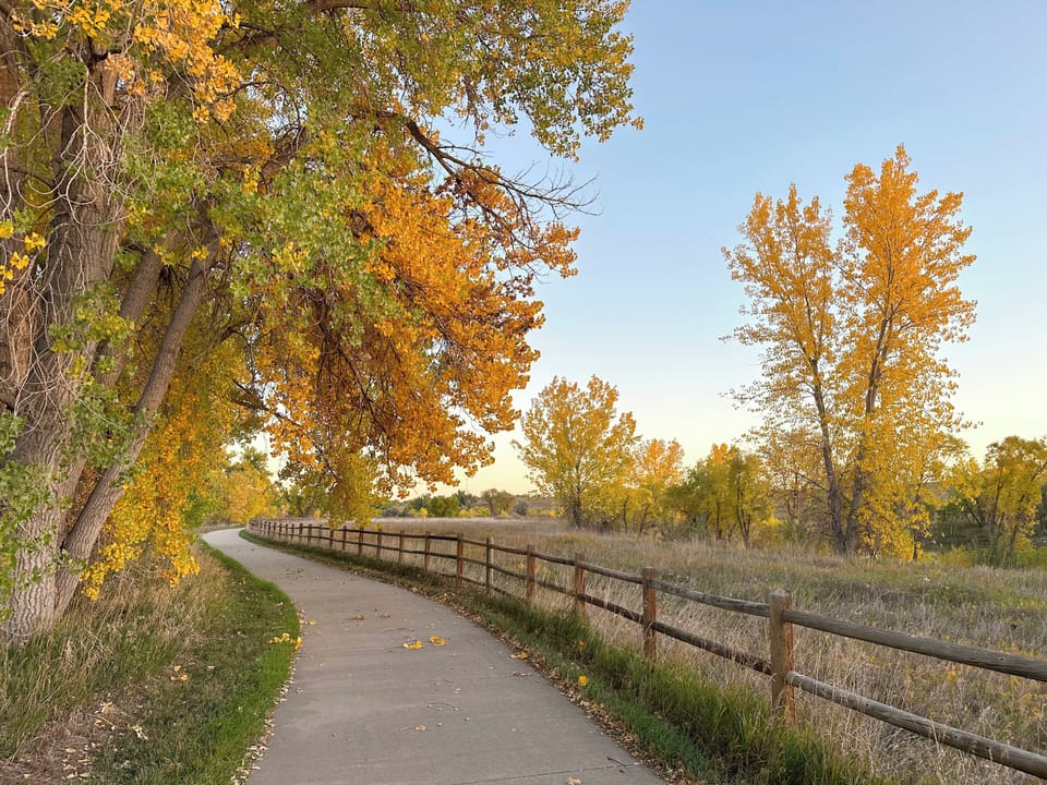 We love walking the Poudre River Trail!