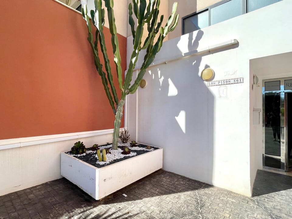 Apartment | Reception