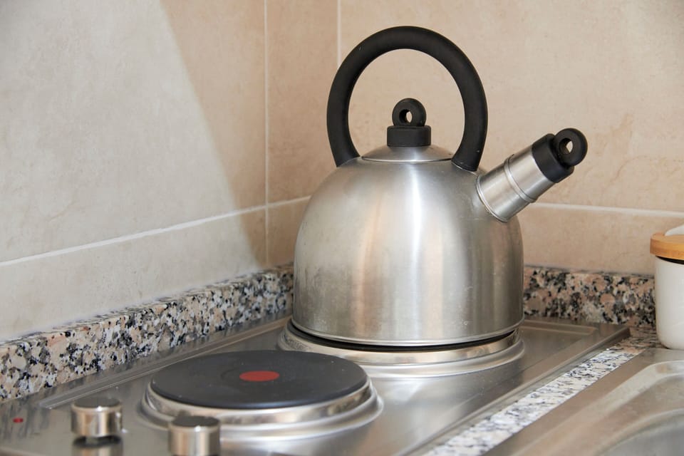 Apartment | Private kitchen | Fridge, microwave, stovetop, electric kettle