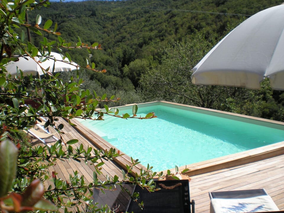 House | Pool | Outdoor pool
