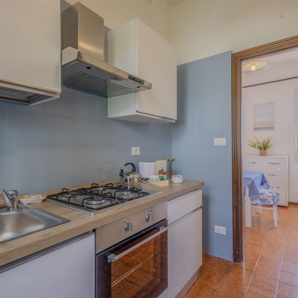 House | Private kitchen | Stovetop