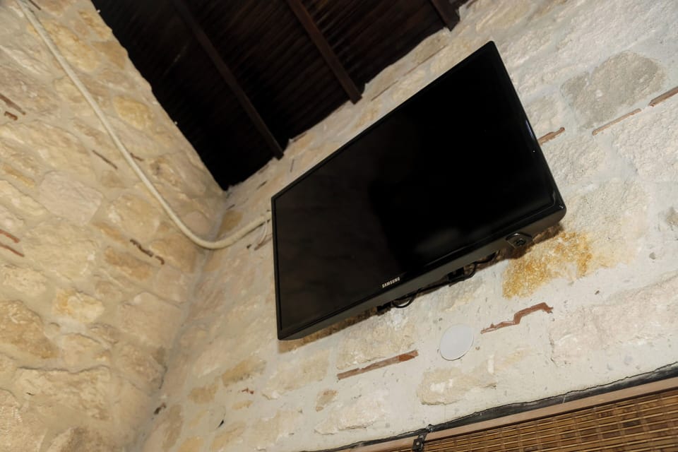 Television