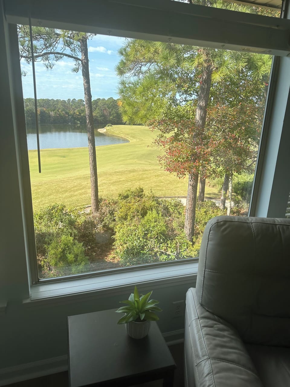 view in living area
