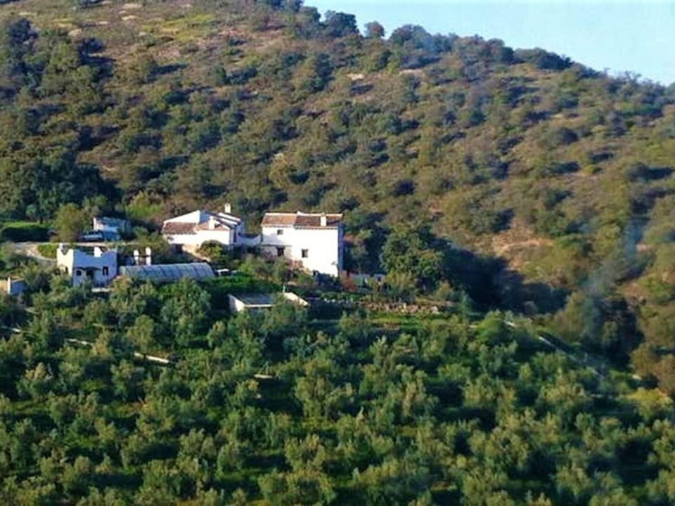 Cottage | Pool | Outdoor pool