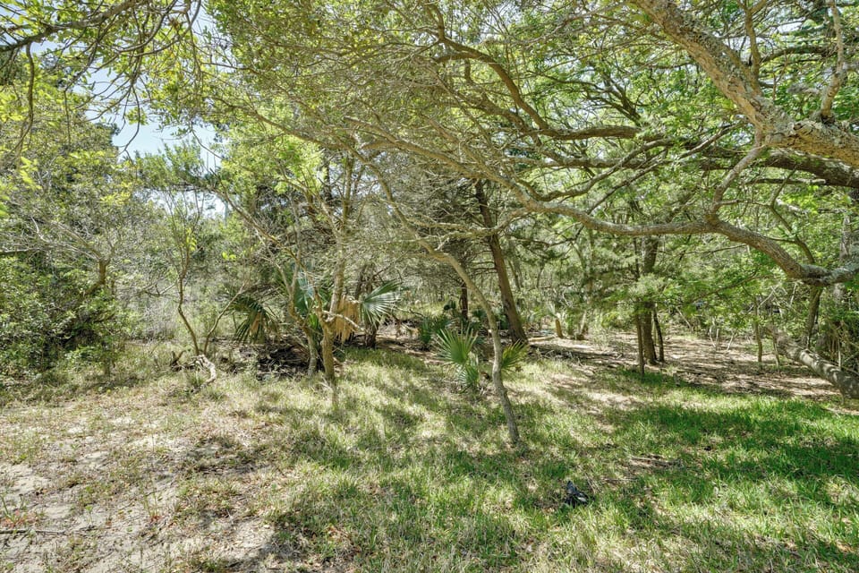 Surrounding Nature