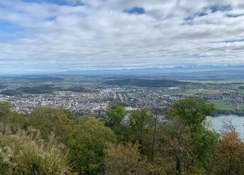 Bungalow | View from property