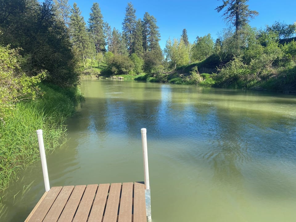 Standing on our dock, looking downriver.