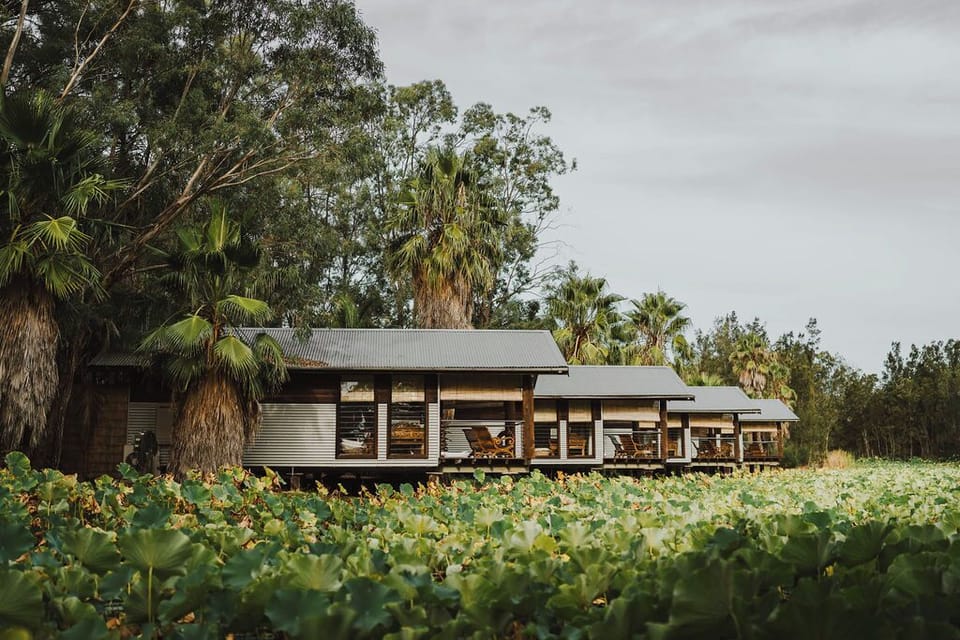 Our 4 king boathouses