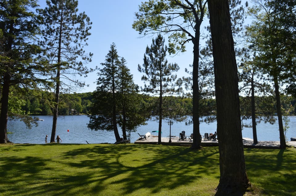View from property