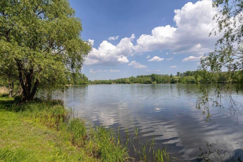 A peaceful lakefront with lush trees, calm water, and a serene blue sky reflecting on the surface.

