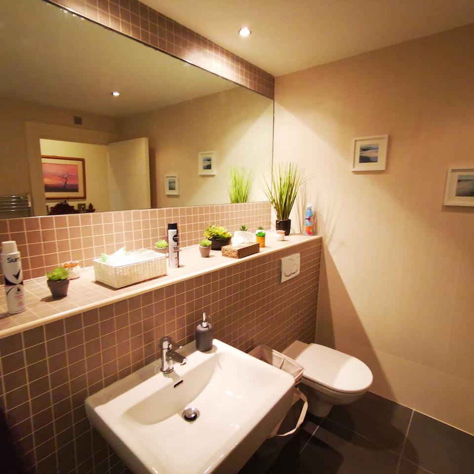 2BR Modern Luxury Loft Apartment Apartment in Belfast