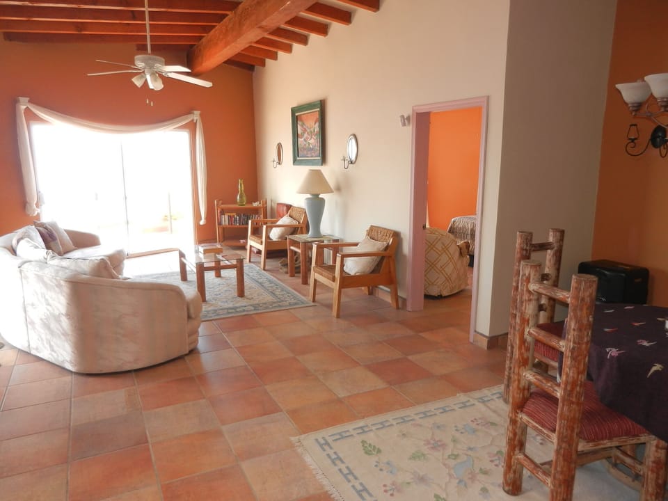 large living area and dining