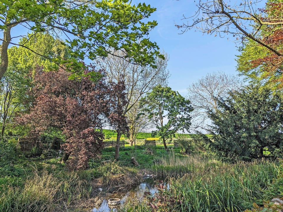 Surrounding area | The Nest, Wykenham, near Spalding