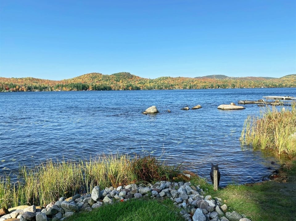 Step into the Lake for a day of fun